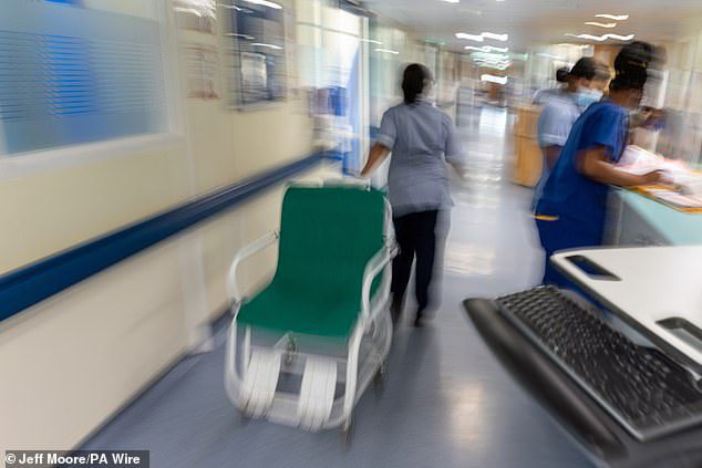 Top think tank slams Labour's plan to cut NHS waiting lists and warns they won't be able to afford it – but shadow health secretary Wes Streeting urges voters 'not to give the matches back to the arsonists' while destroying the Tory record